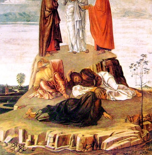 Giovanni Bellini: La trasfigurazione, cm. 68, Civico Museo Correr, Venezia.